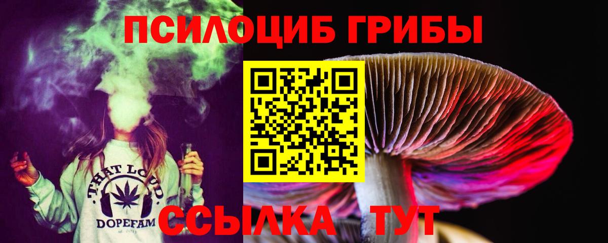 Галлюциногенные грибы MAGIC MUSHROOMS  Псилоцибиновые грибы мицелий  Назарово  Вход с VPN 